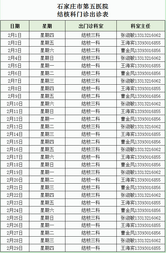 2024年2月份結(jié)核科門診出診表